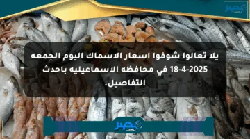 يلا تعالوا شوفوا أسعار الأسماك اليوم الجمعة 18-4-2025 في محافظة الإسماعيلية بأحدث التفاصيل.